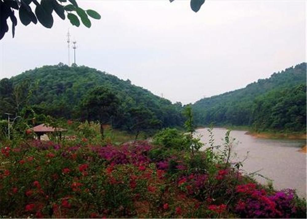 Phoenix Hotel Wuyi Jiangmen Exterior photo